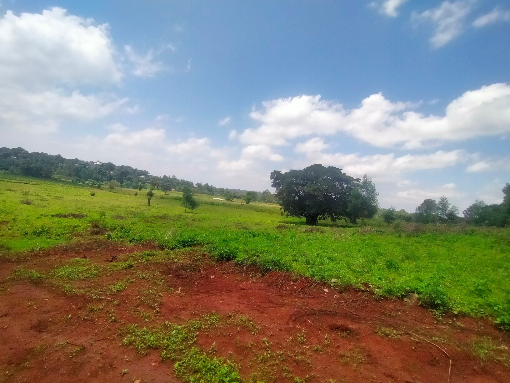Most Affordable ⅛ Acre Plot For Sale Kerarapon