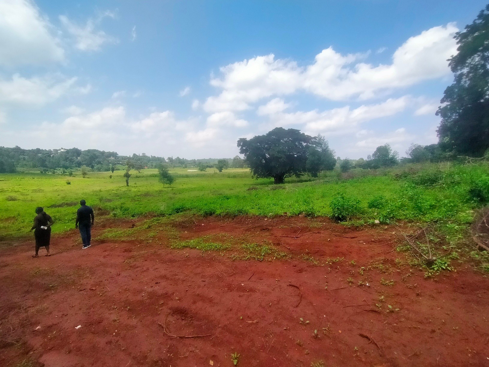 Most Affordable ⅛ Acre Plot For Sale Kerarapon Image