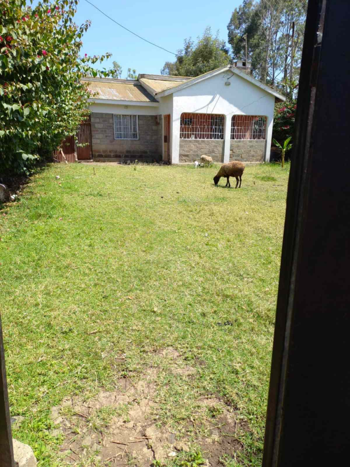 3 bedroom bungalow for sale in Ngong Matasia