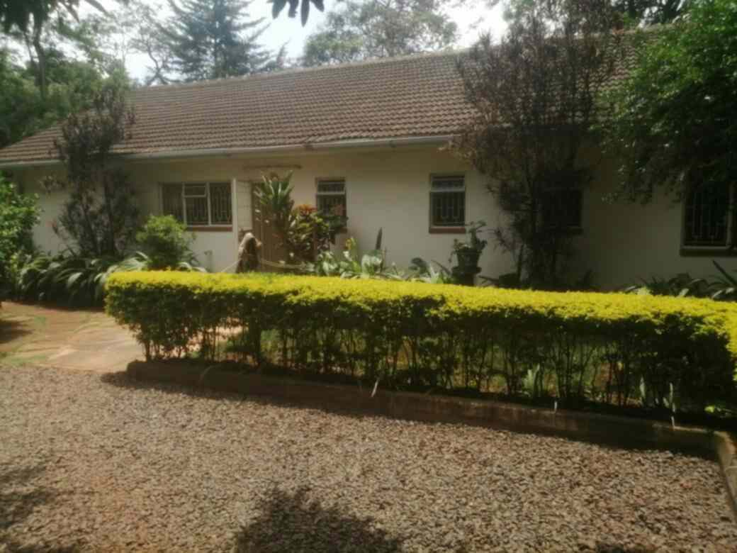 4 bedroom commercial bungalow for rent in Kilimani