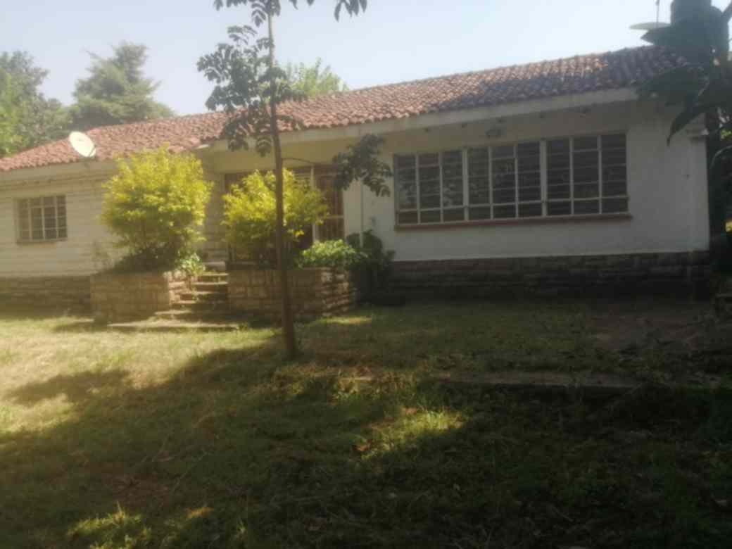 Lavington commercial or residential 4 bedroom house for rent