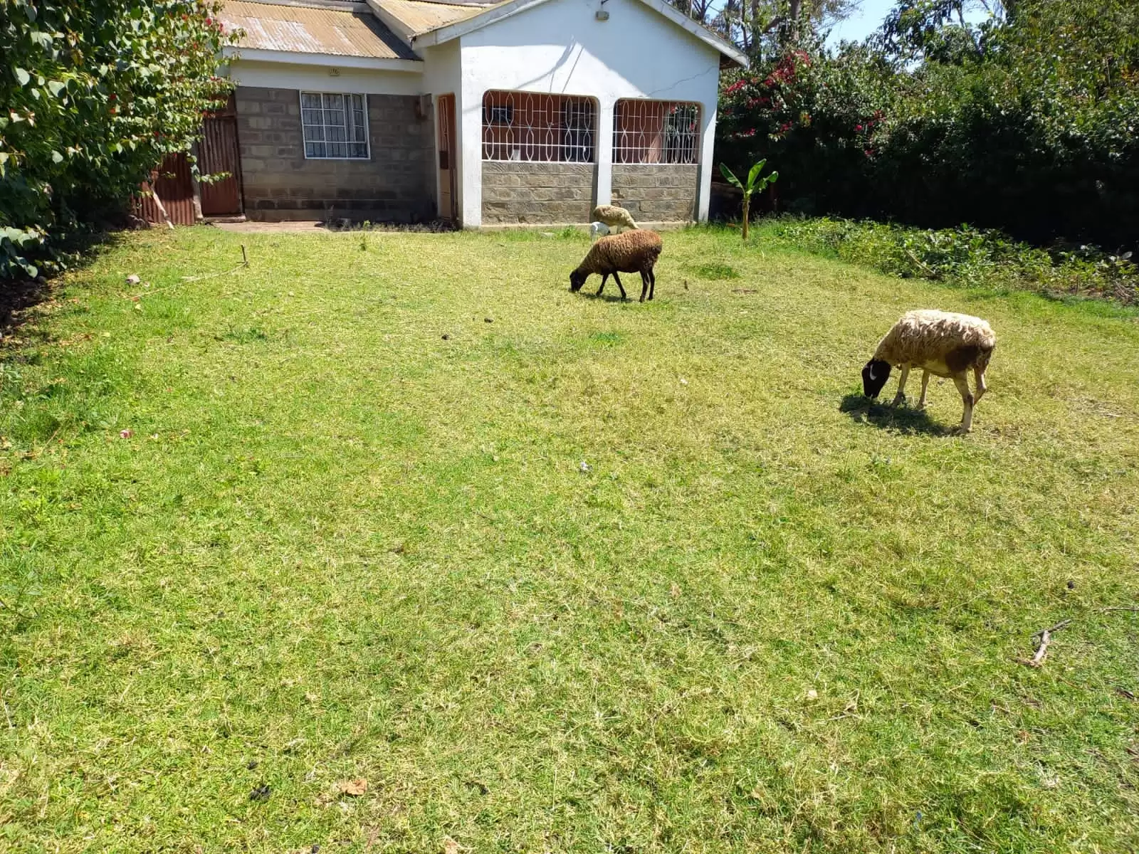 3 bedroom bungalow for sale in Ngong Matasia Image