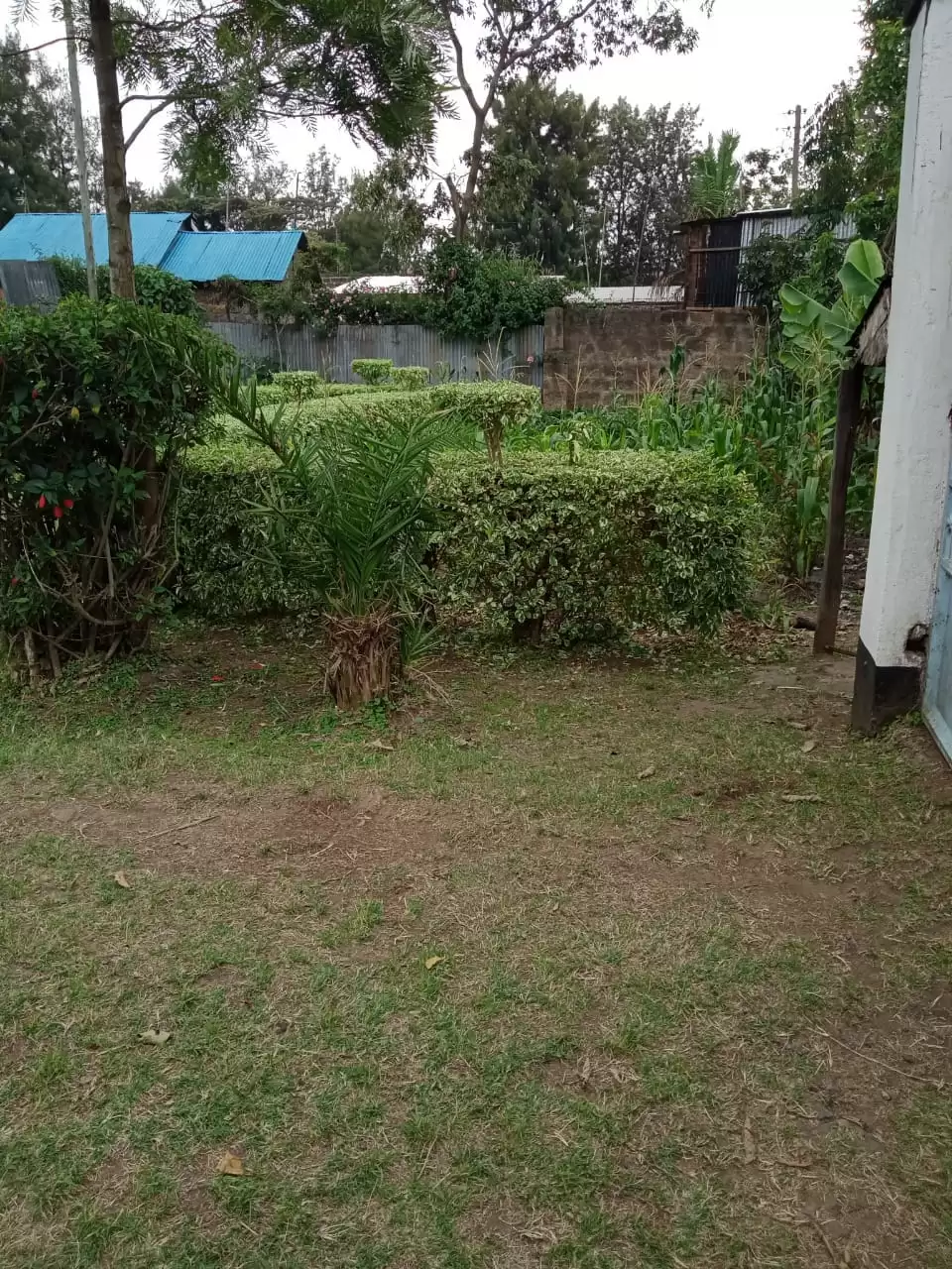 4 bedroom bungalow for rent in Ongata Rongai Image