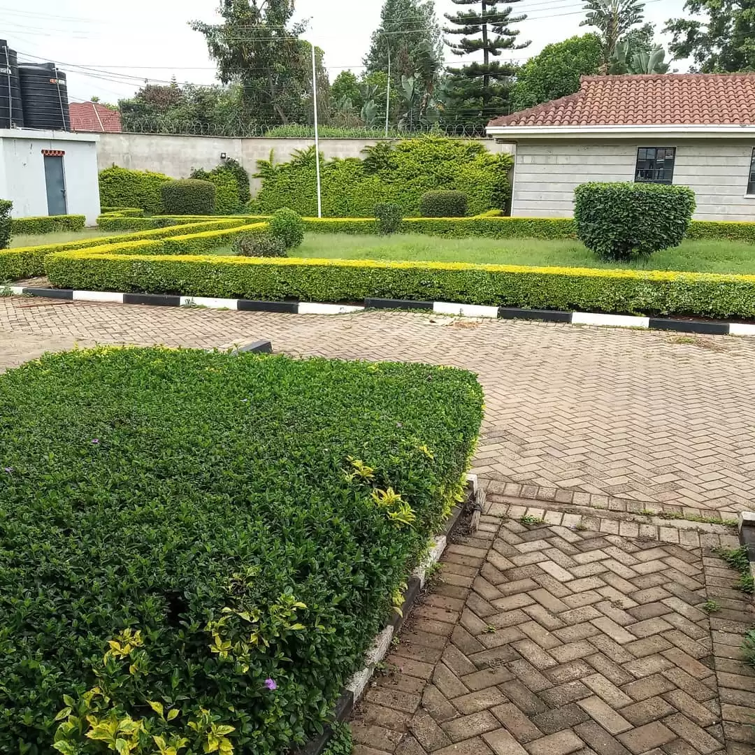 5 bedroom house  in Muthaiga North for rent Image