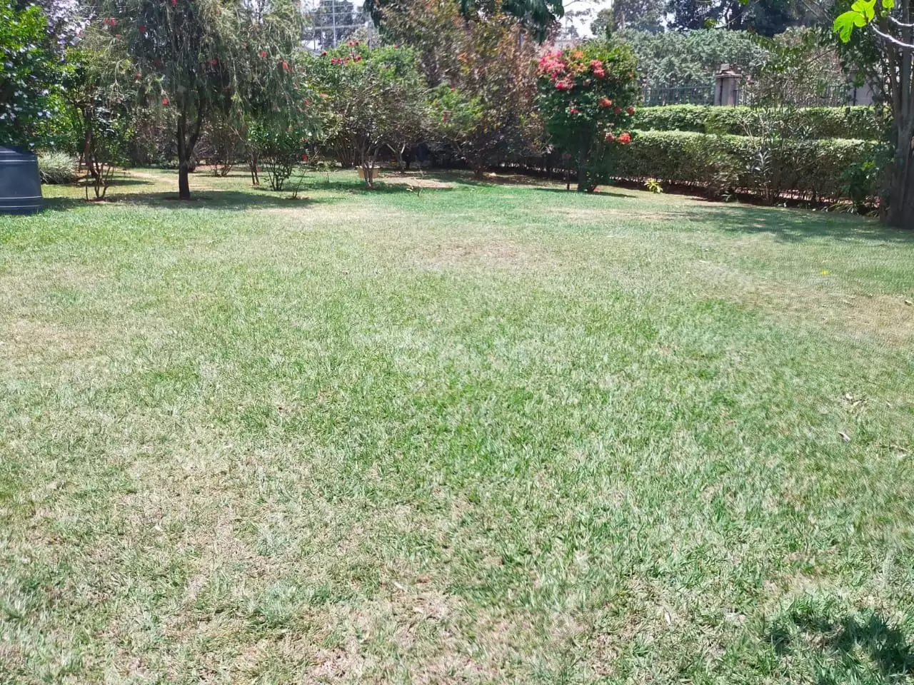 6 bedroom house for rent in Kitisuru Image