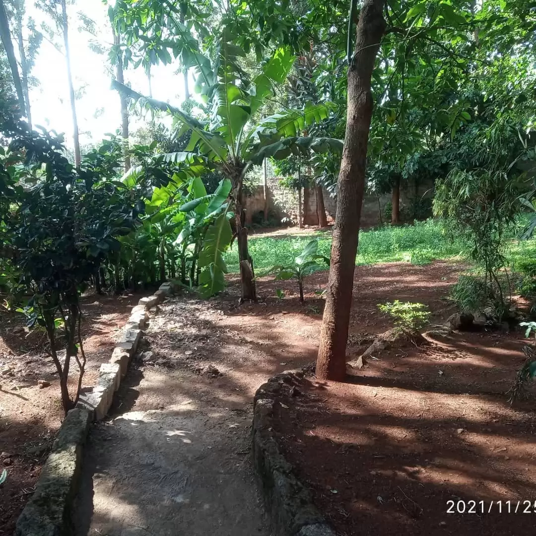 Kiambu road 5 bedroom own compound mansion for rent Image