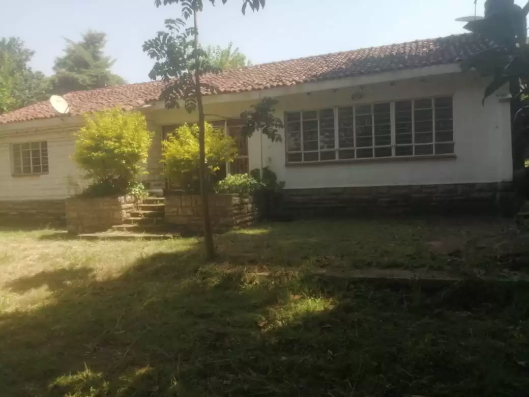 Lavington commercial or residential 4 bedroom house for rent Image