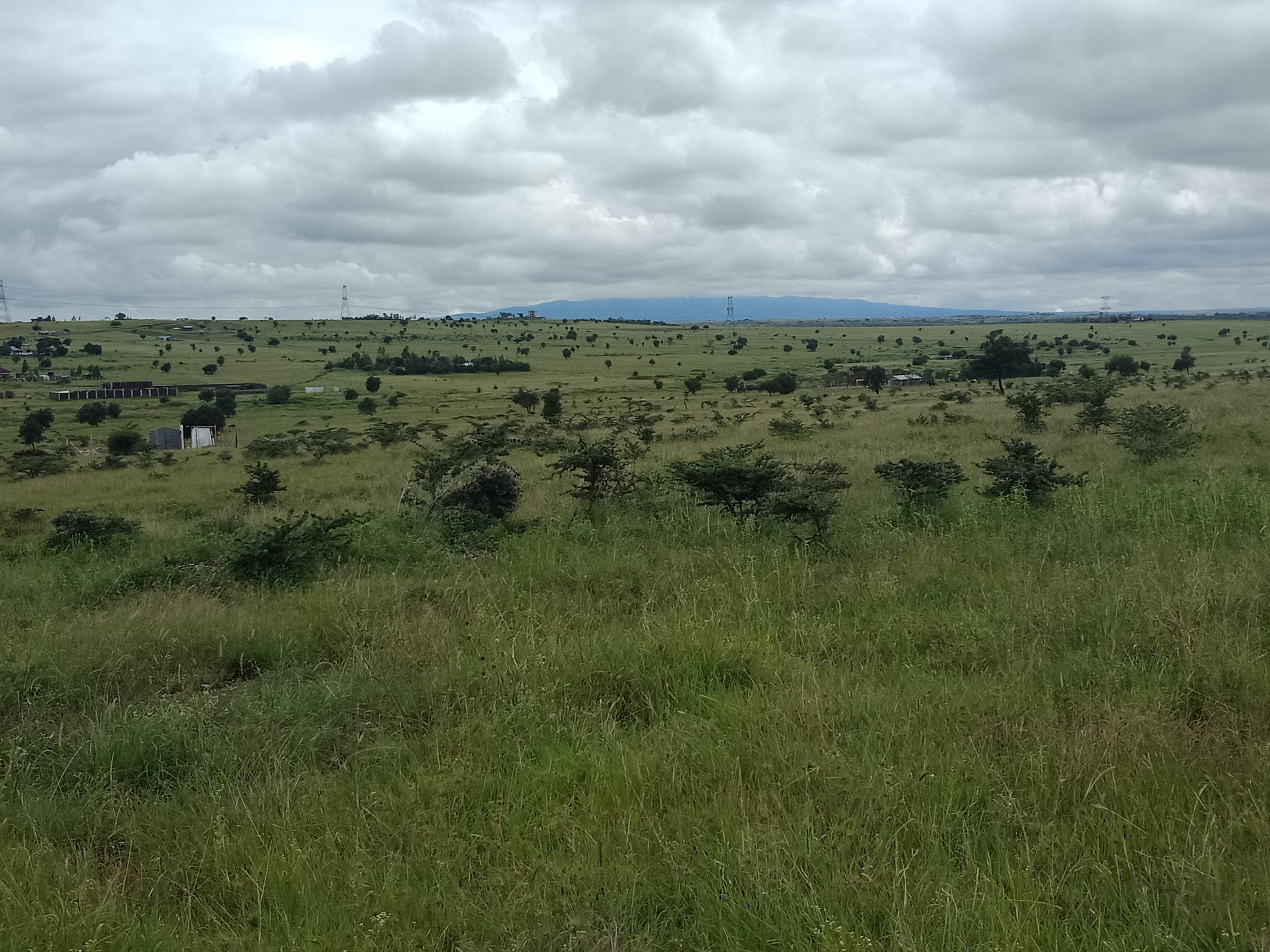 PLOT FOR SALE IN KITENGELA ACACIA