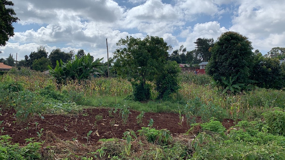 Plot for sale in Lower Kabete