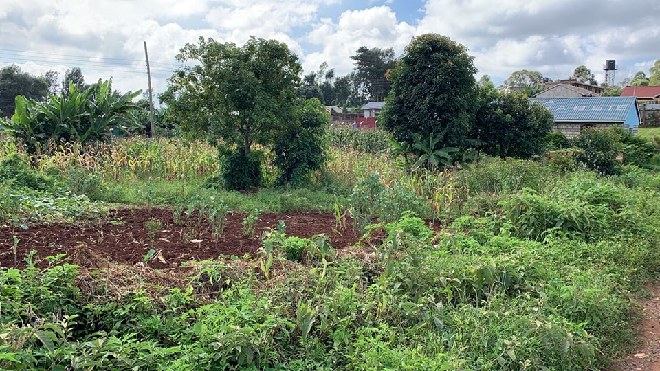 Plot For Sale in Lower Kabete