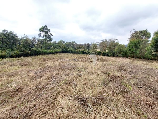 Plot for sale in Ngong Kibiko