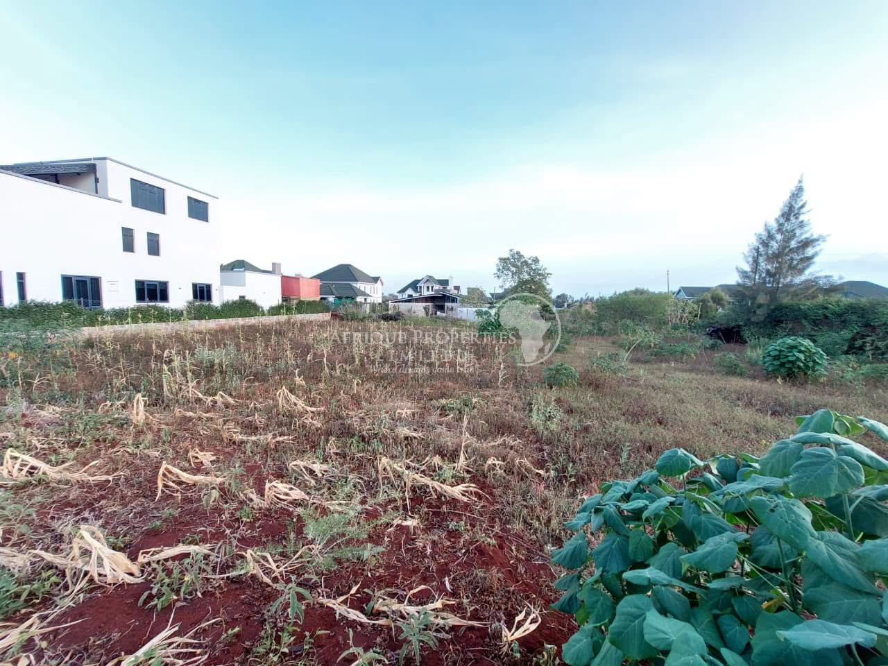 ๐/๐ plot for sale in thika greens golf estate