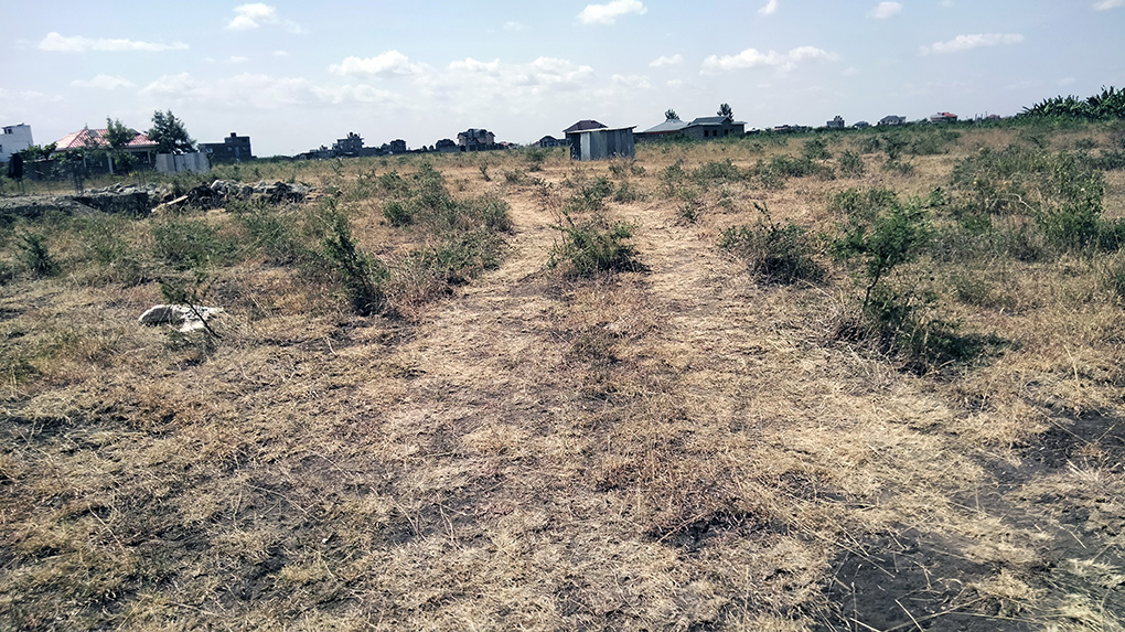 Plots for Sale at Kamakis, Corner Area Image