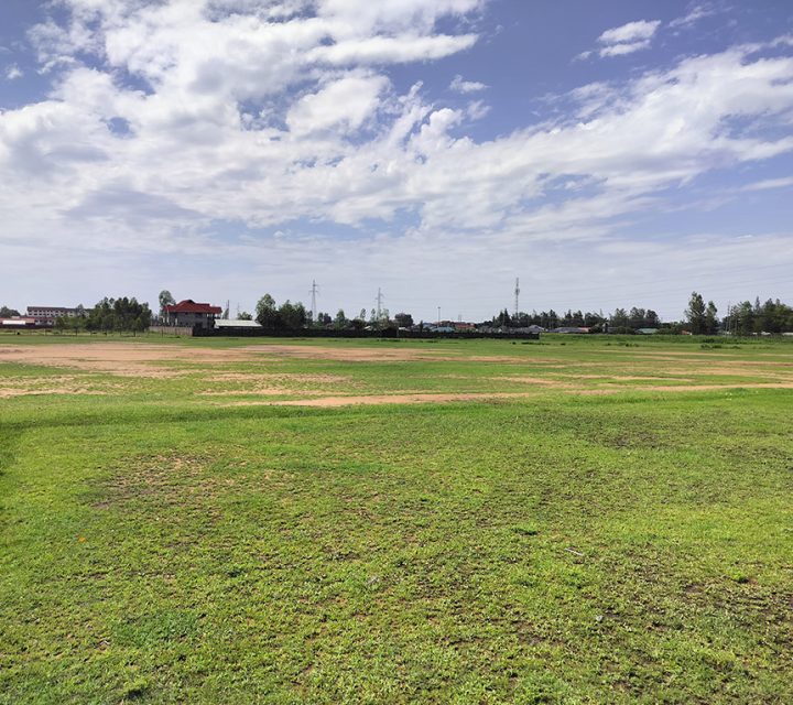 Plots for Sale at Migosi, Kisumu County Image