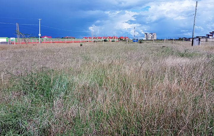 Plots for Sale at Plains View Estate, Juja