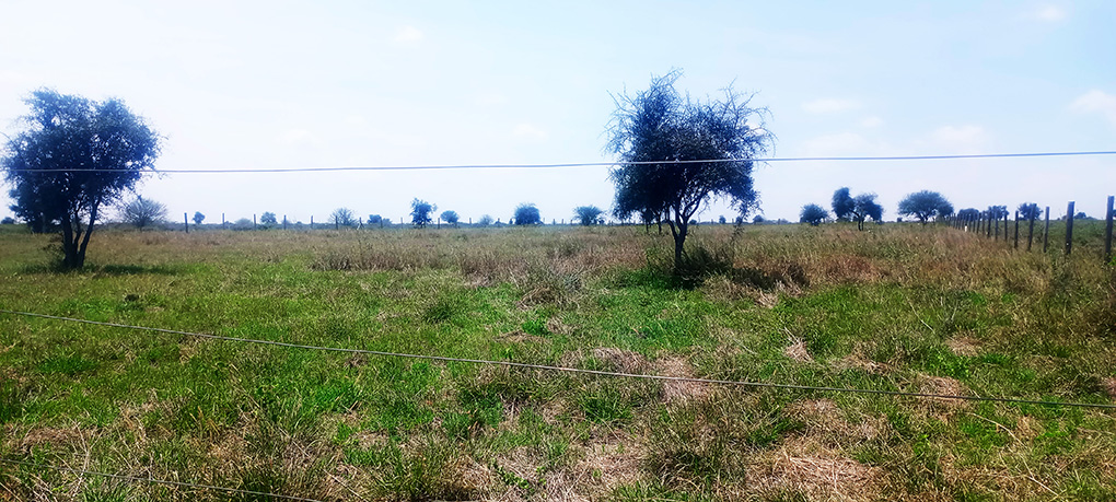 Plots for Sale in Isinya, Dalalekutuk Area