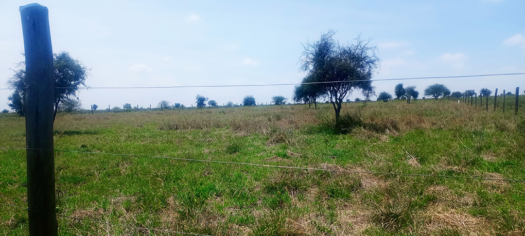 Plots for Sale in Isinya, Dalalekutuk Area Image