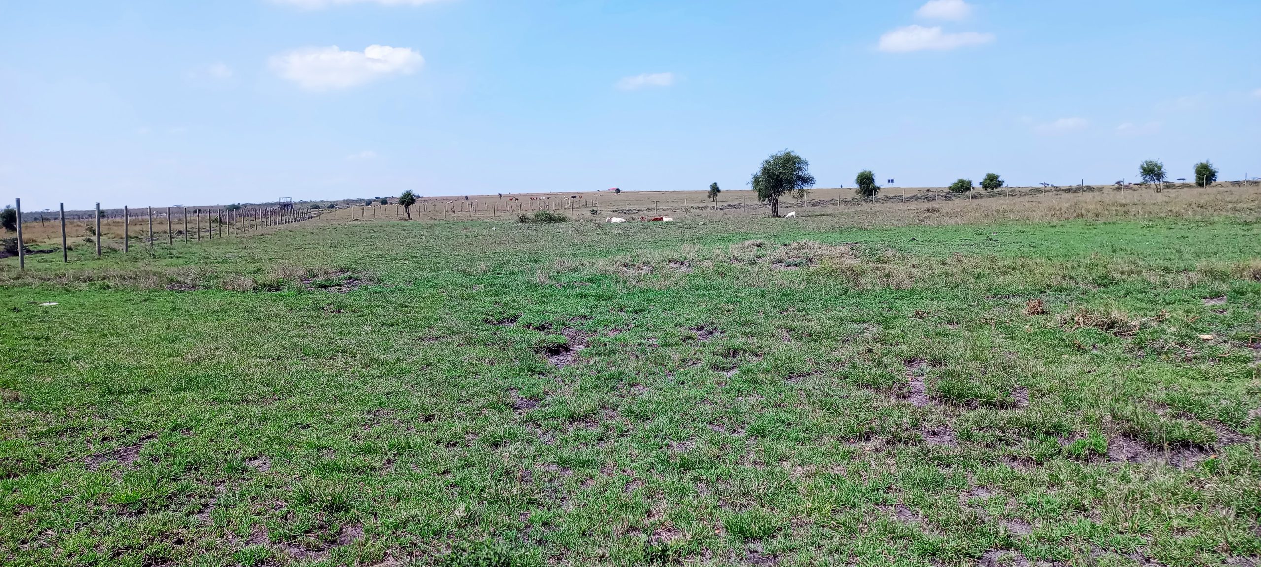 Plots for Sale in Isinya, Oloyangalani Area Image