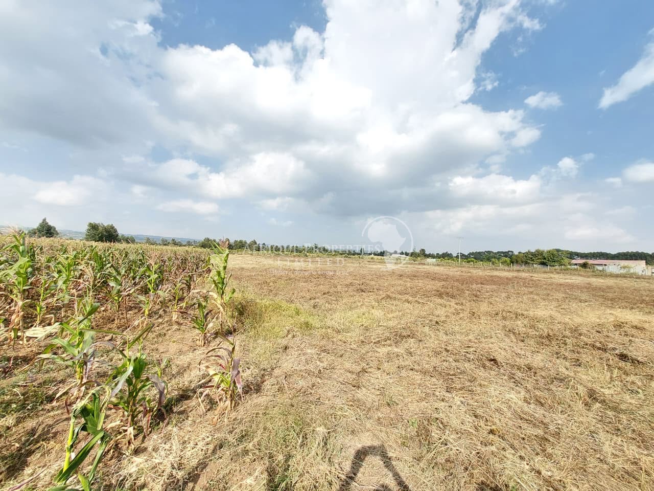 ππ Γ πππ plots for sale in naivasha Image