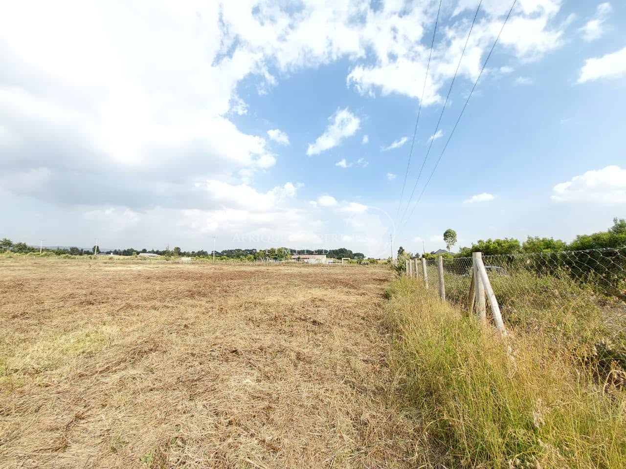 𝟓𝟎 × 𝟏𝟎𝟎 plots for sale in naivasha