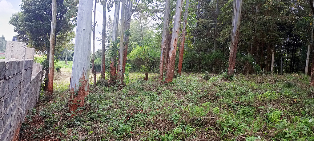 Plots for Sale in Thogoto Image
