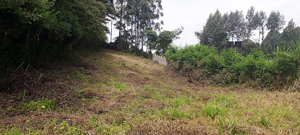 Plots for Sale in Thogoto