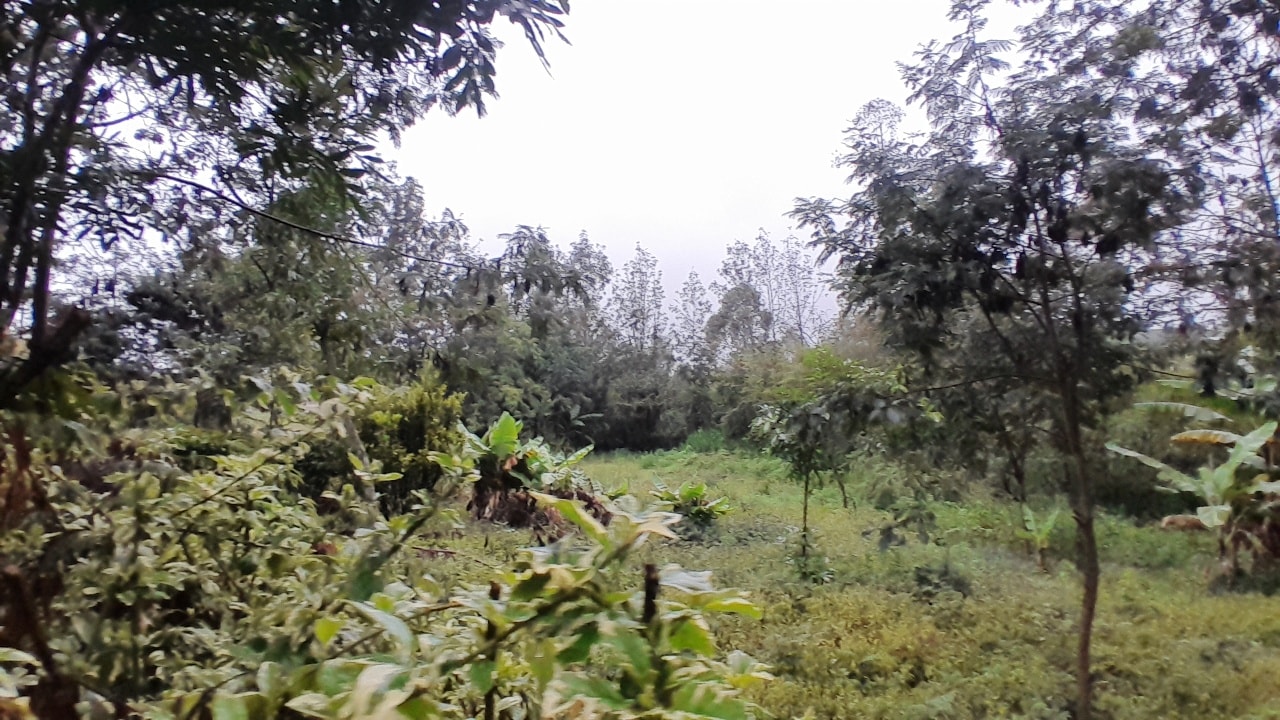 Plots / land for lease on langata rd / karen