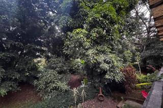 Prime 0.5 Acre Land For Sale in Spring Valley Image