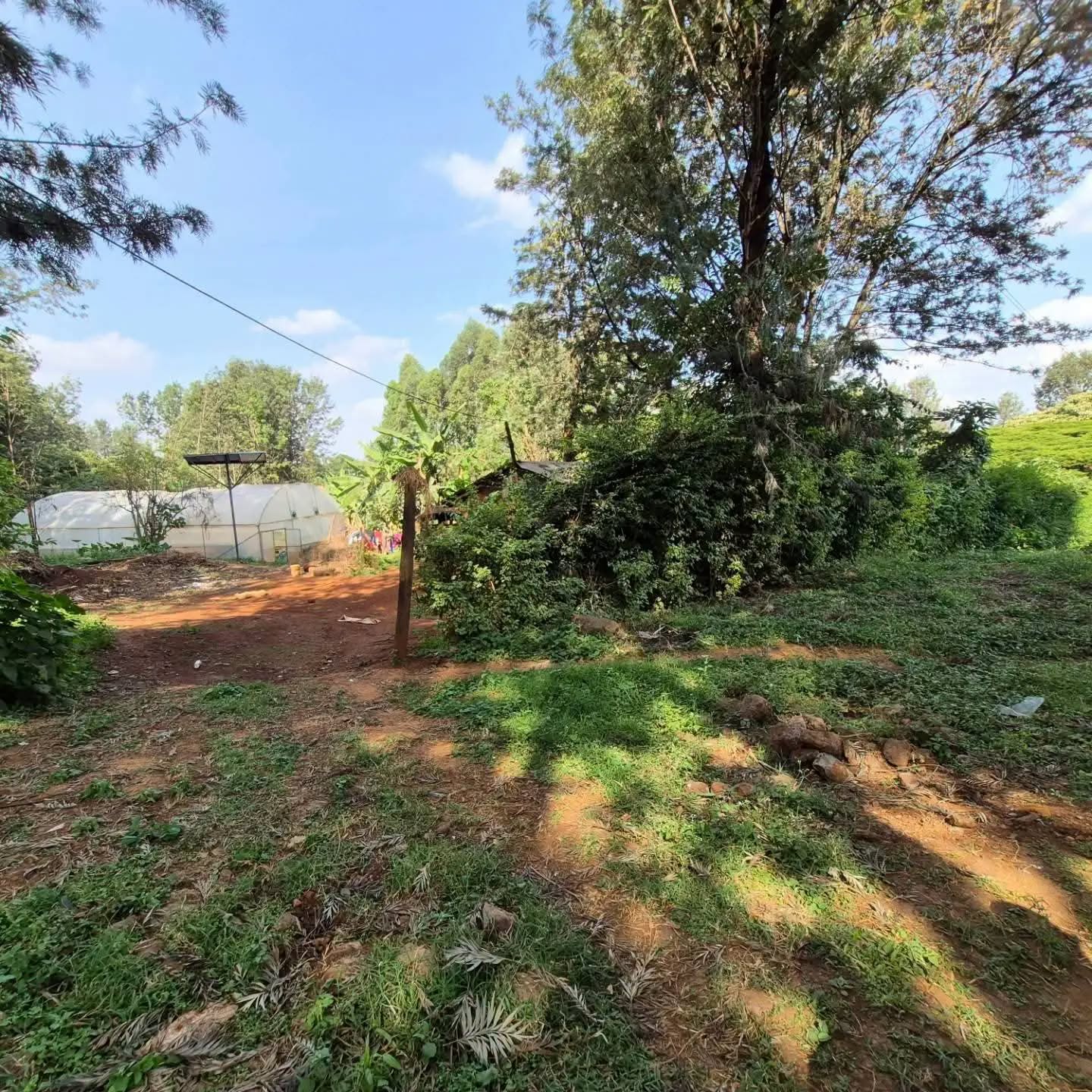 Prime 0.5 Acre Redsoil Flat Plot for Sale in Runda. Image