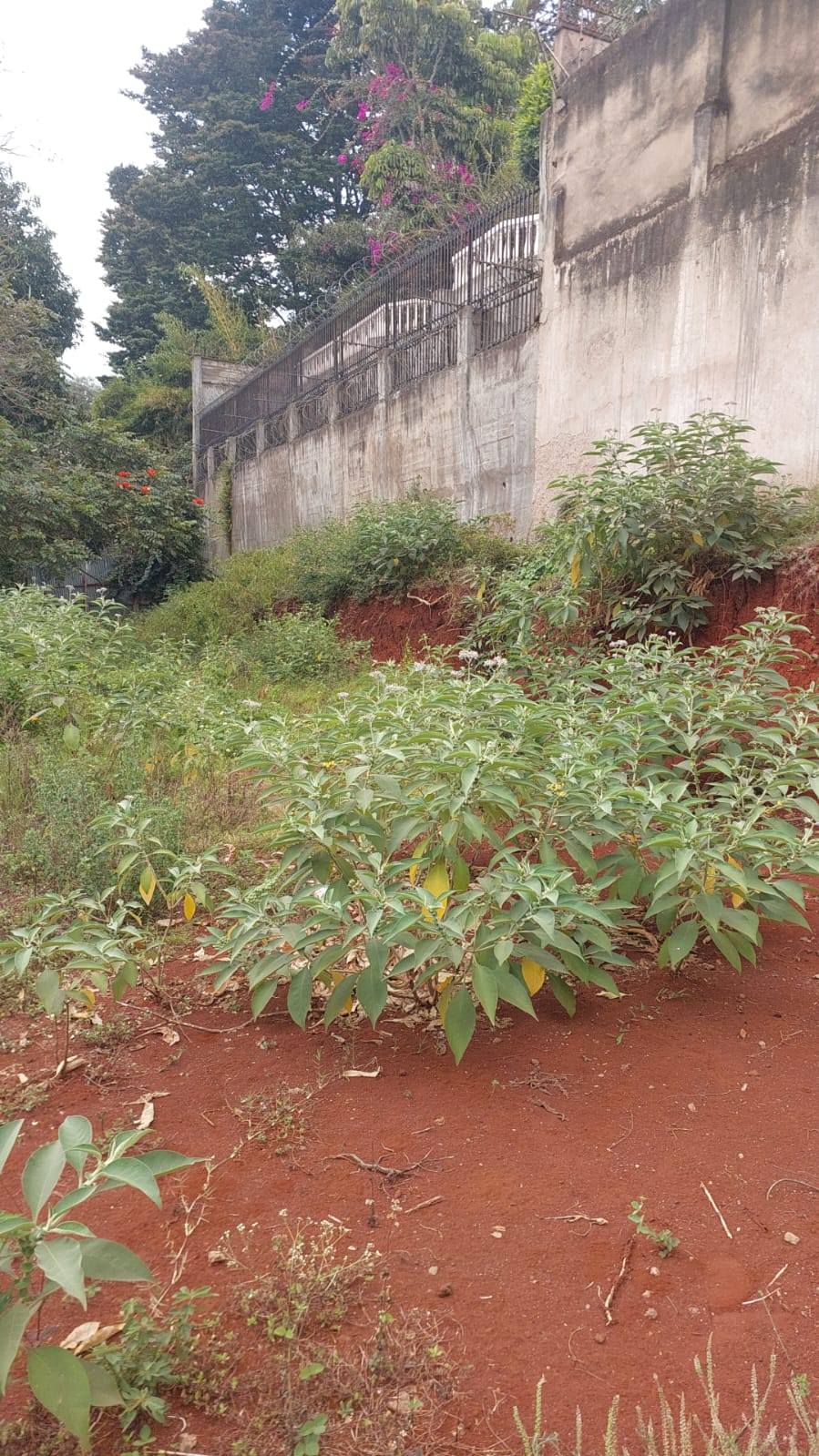 PRIME 0.75 ACRE LAND FOR SALE IN GENERAL MATHENGE DRIVE