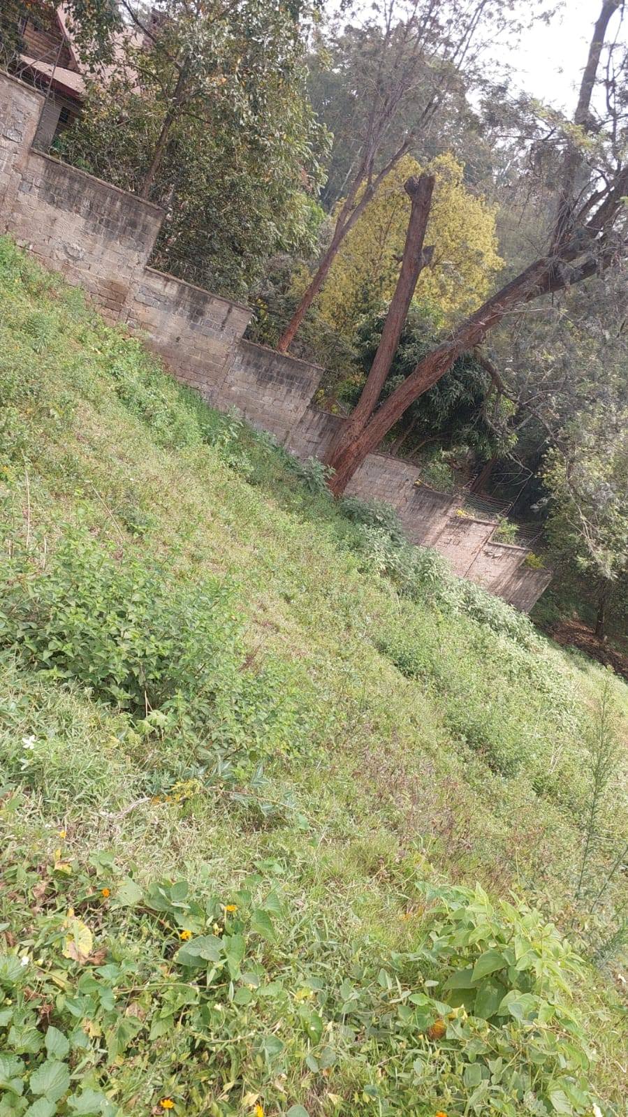 PRIME 0.75 ACRE LAND FOR SALE IN GENERAL MATHENGE DRIVE Image