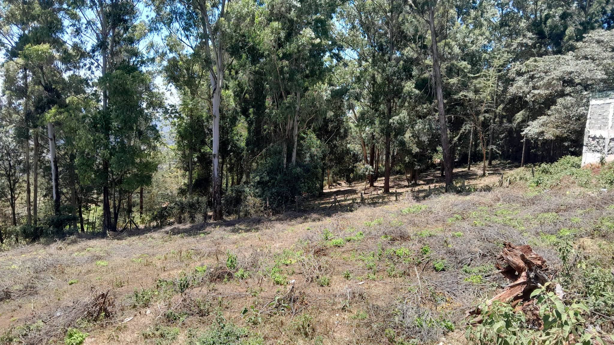 prime 1 acre for sale in kibiko ngong Image