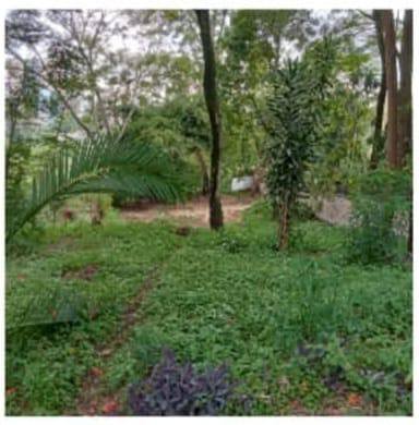 PRIME 1 ACRE FOR SALE IN OLD MUTHAIGA Image