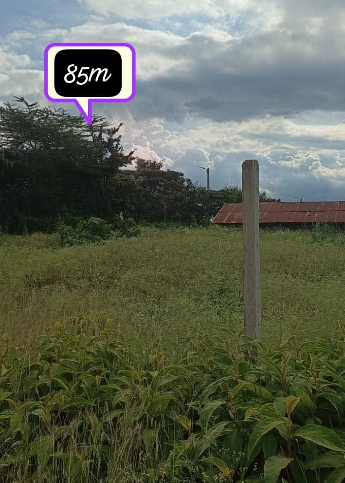PRIME 1¾ ACRE LAND FOR SALE IN KAMAKIS Image