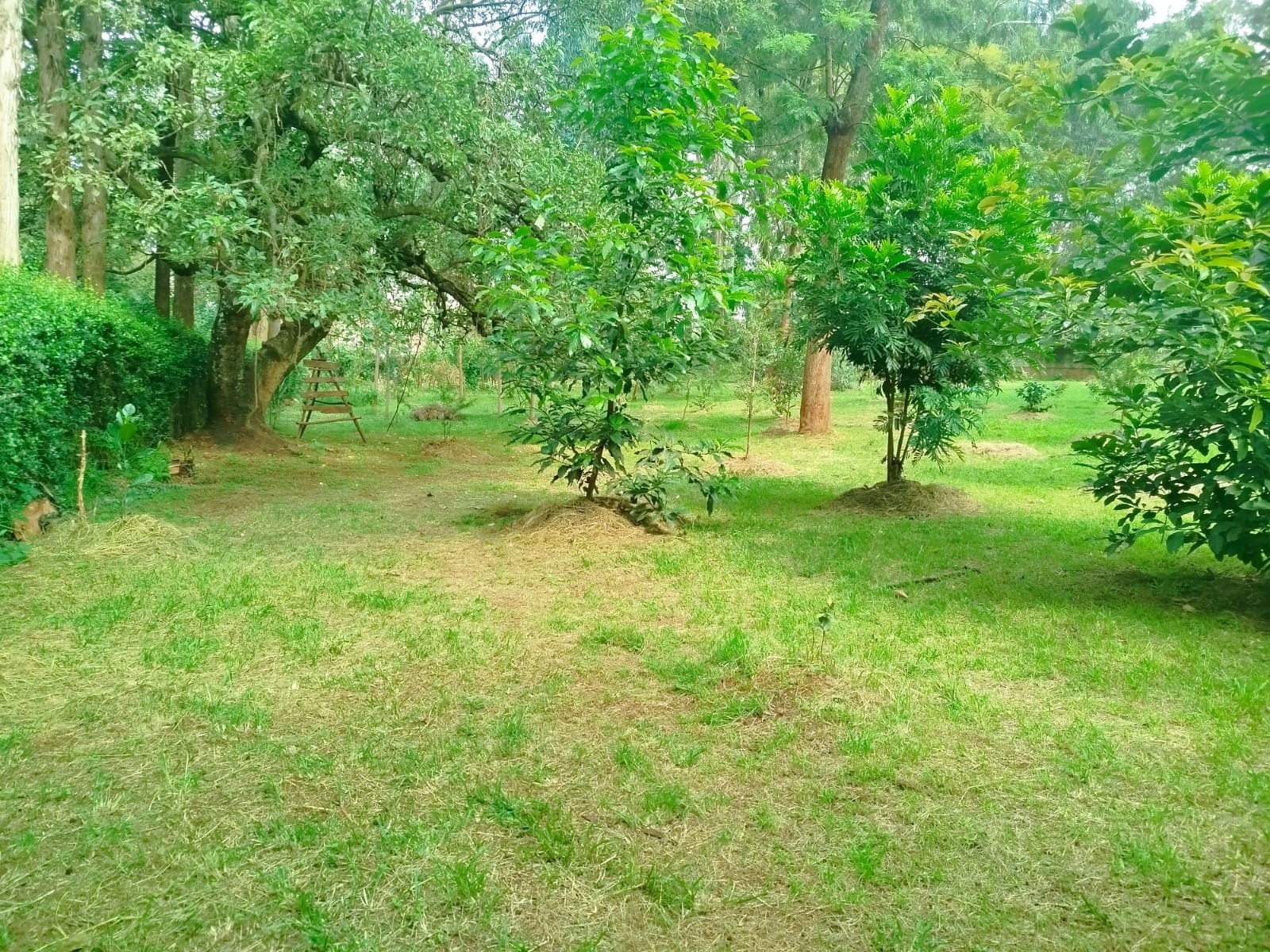 Prime 1 Acre Land For Sale in Karen, Windy Ridge Image