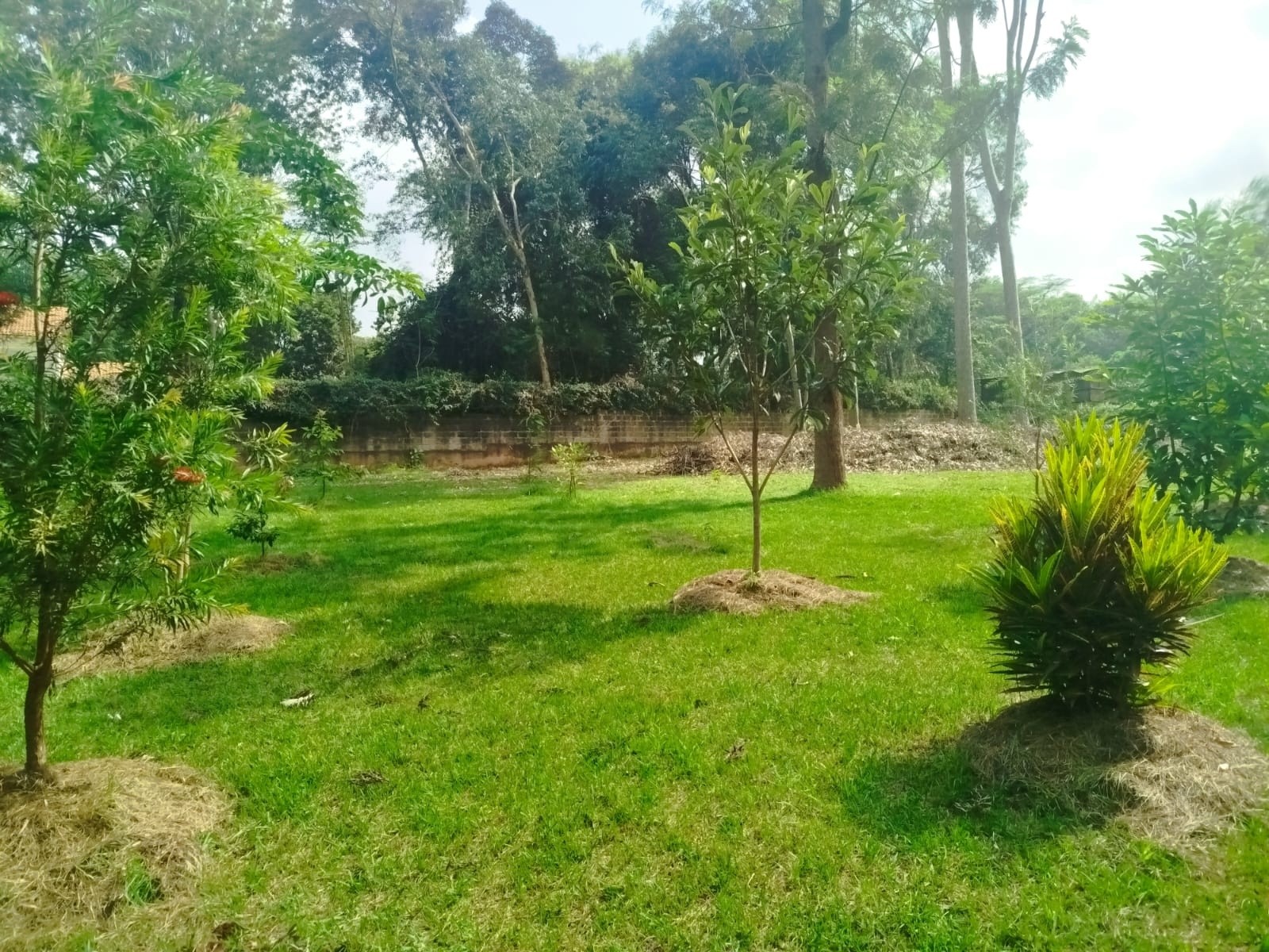 Prime 1 Acre Land For Sale in Karen, Windy Ridge