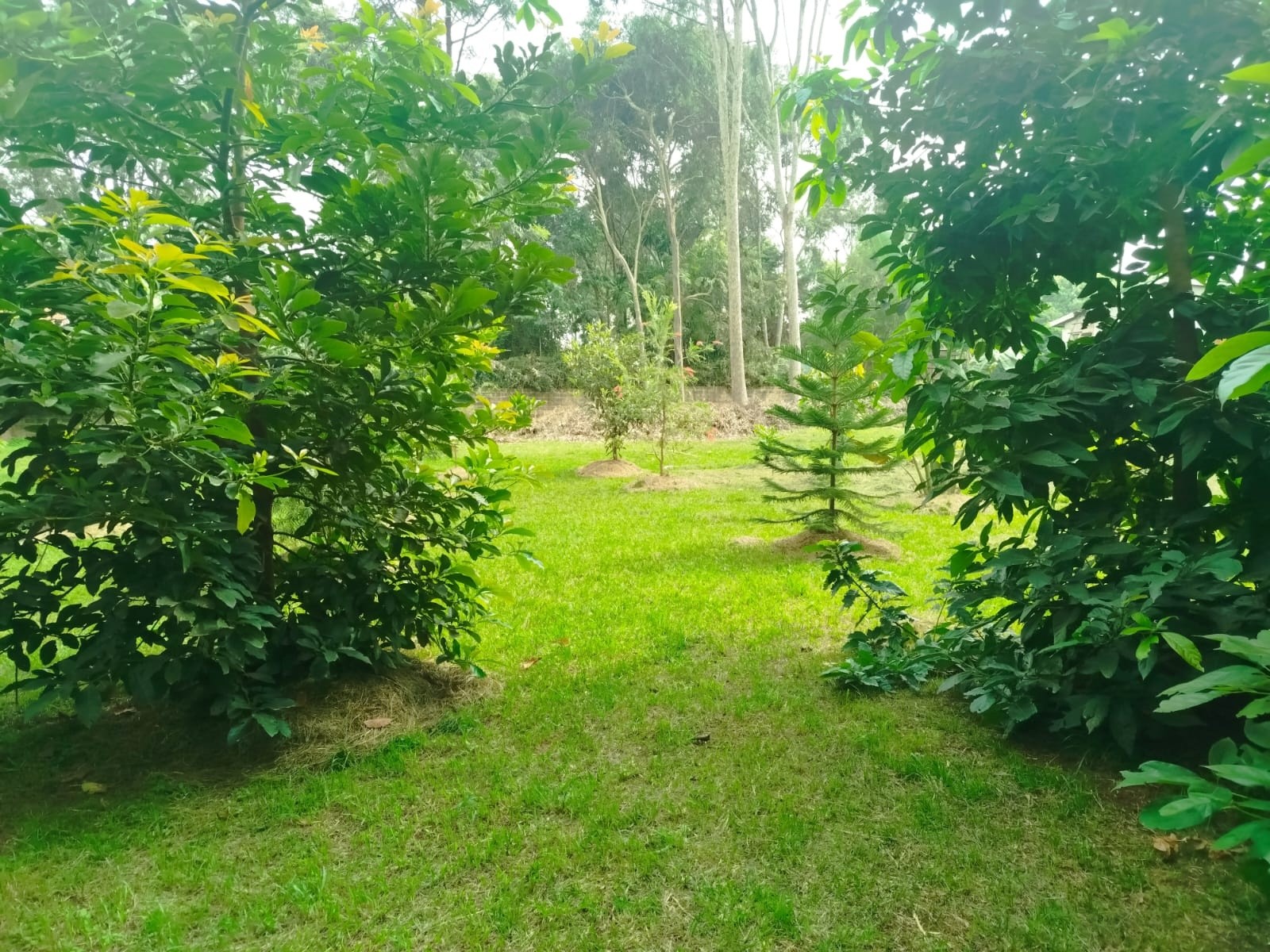 Prime 1 Acre Land For Sale in Karen, Windy Ridge Image