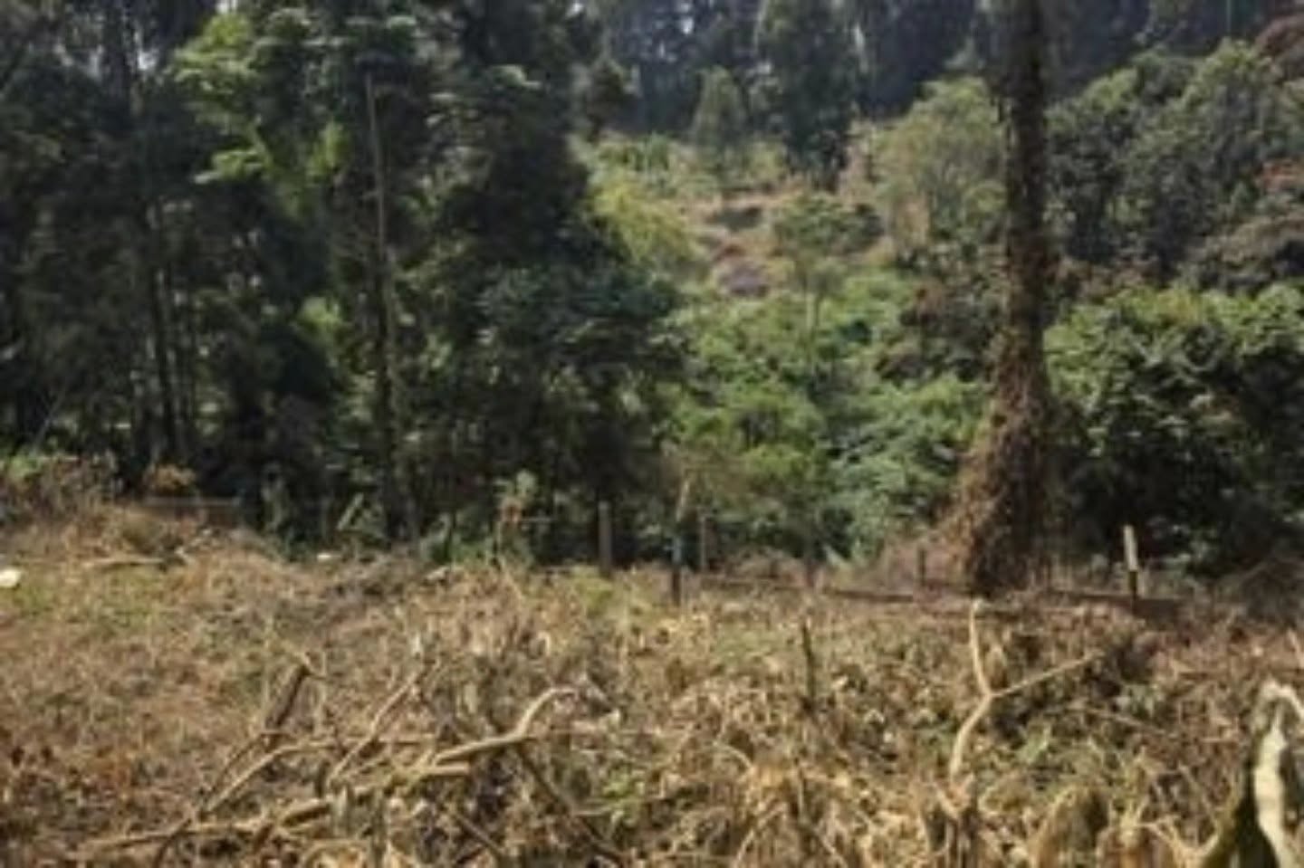 prime 1 acre land for sale in old kitisuru