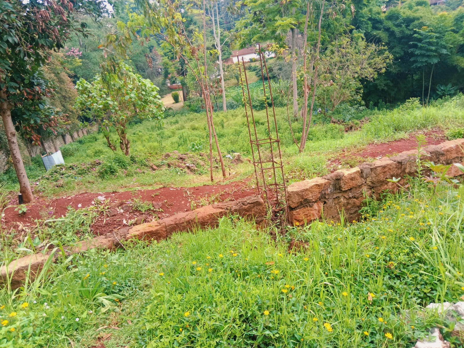 Prime 1-Acre Land for Sale in Thigiri Ridge, New Muthaiga Image