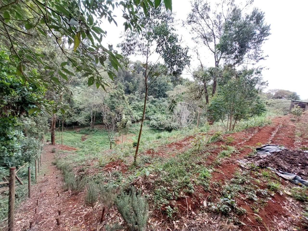 prime 1 acre land for sale in tigoni