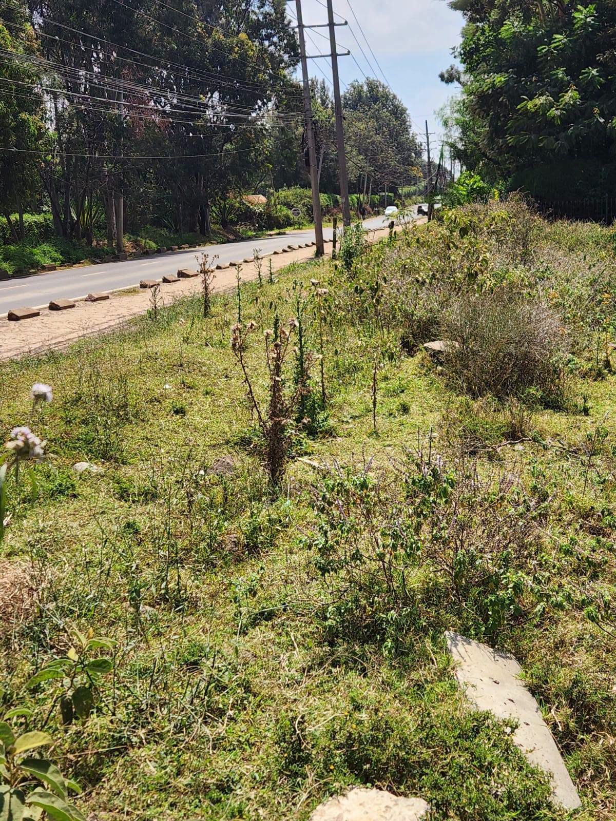 PRIME 1-ACRE LAND FOR SALE – KAREN