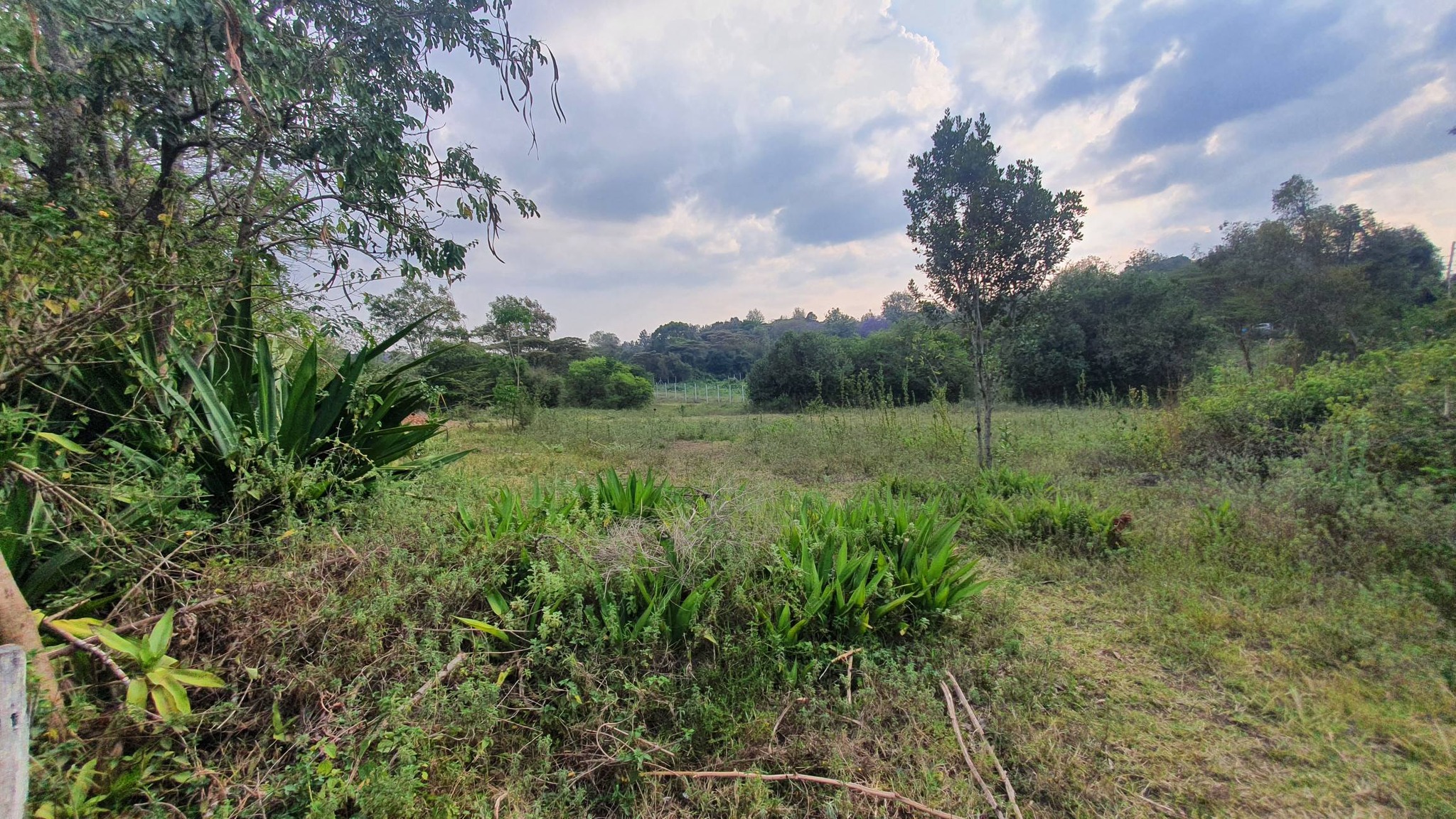Prime 1 Acre Parcels For Sale in Karen Image