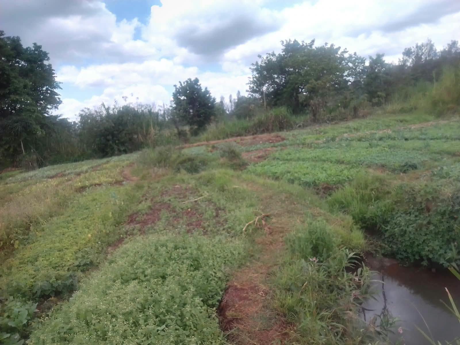 prime 1 acre plot for sale in saba saba, murang'a
