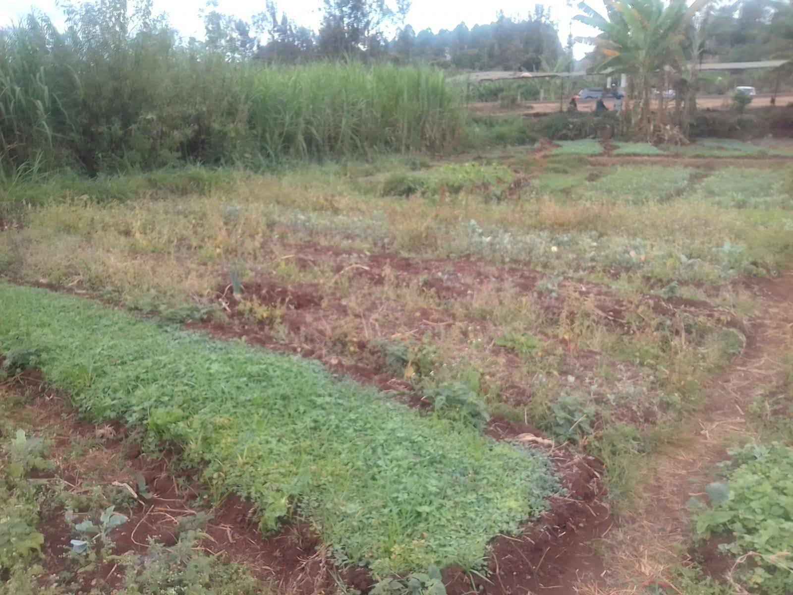prime 1 acre plot for sale in saba saba, murang'a Image
