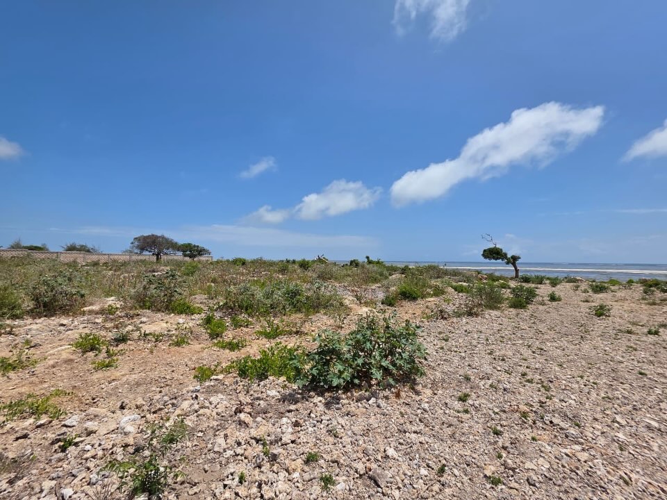 Prime 1 Acre Plot for Sale in Watamu Image