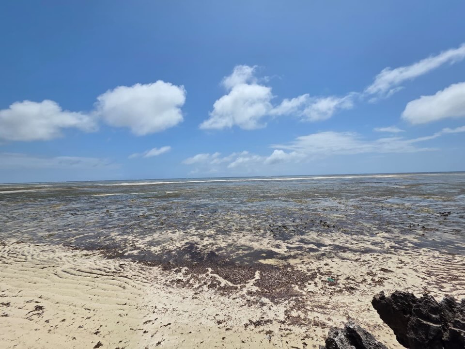 Prime 1 Acre Plot for Sale in Watamu