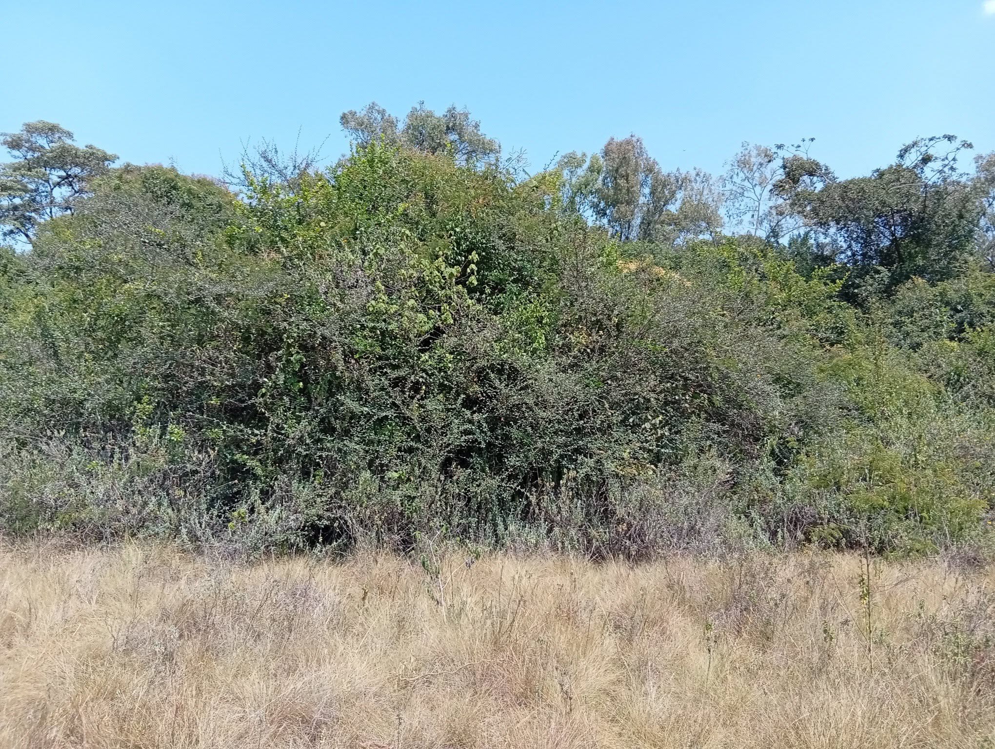 prime 10 acres for sale in karen, muteero Image