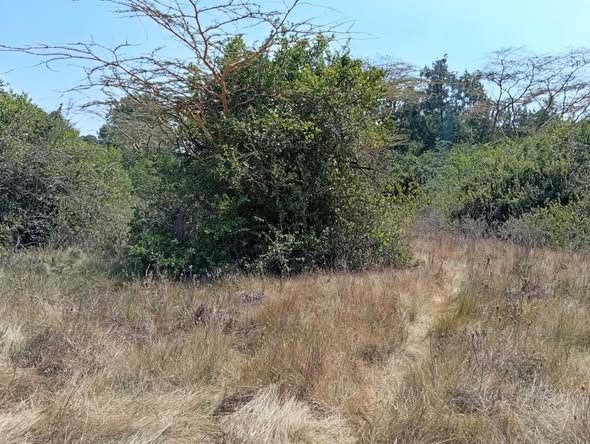 prime 10 acres for sale in karen, muteero
