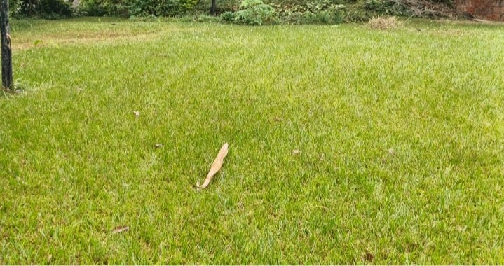 Prime 10 Acres near Kentmere For Sale in Tigoni