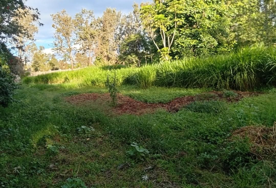 Prime 1.1 Acre Land For Sale in Karen, Bogani